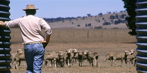 What Aussie Farmers Really Need Is Farm Justice Sydney Environment