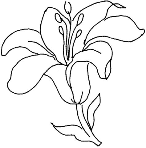 Elije el mandala que despierte tu atención. Dibujos de flores hermosas para descargar, imprimir y ...
