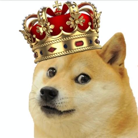 The Great Doge Master Youtube