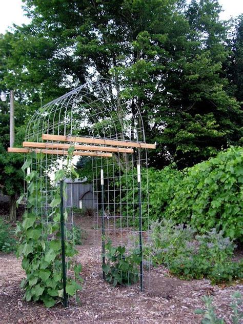 This simple diy pergola from apieceofrainbow.com is a great place to start. Pin on Garden