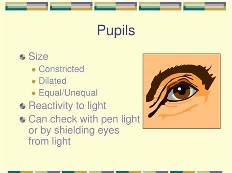 Unequal Pupil Size Medical Term Gatorlader