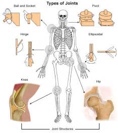 Check spelling or type a new query. Dislocations