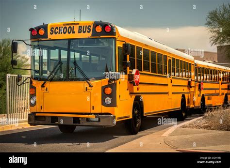 American Yellow School Buses Stock Photo Alamy