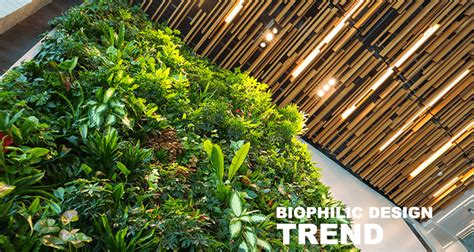 Biophilic Design Trend At Homes Are On The Rise Nowadays