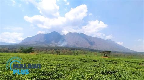 Hiking Mount Mulanje The Highest Mountain In Malawi｜malawi Travel And