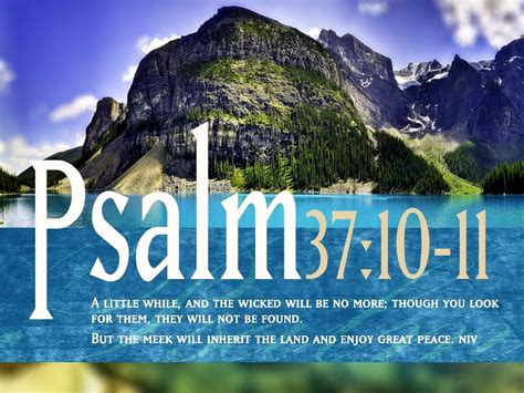 25 Best Inspirational Bible Verses The Wow Style