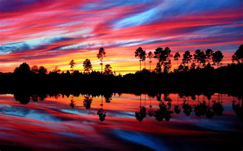 Download Reflection Colorful Tree Nature Sunset Hd Wallpaper