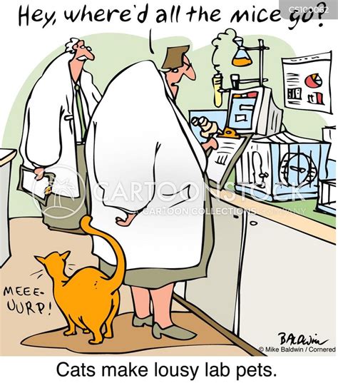 Laboratory Mice Cartoons And Comics Funny Pictures From Cartoonstock