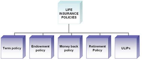 LATEST TECHNOLOGIES: TYPES OF LIFE INSURANCE POLICIES