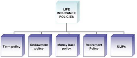 Is a contract of reimbursement. LATEST TECHNOLOGIES: TYPES OF LIFE INSURANCE POLICIES