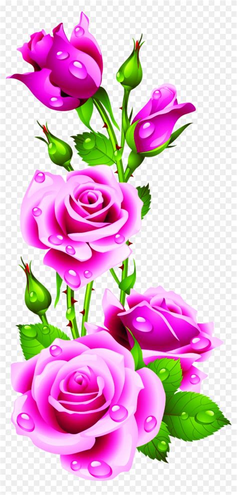 Pink Flowers Clip Art Drops Petals Rose Flower Pink