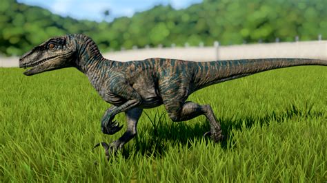 Velociraptor Jurassic World Evolution Wiki Fandom Jurassic Park Movie Jurassic Park World