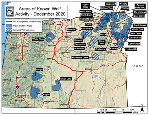 Odfw Gray Wolf Population