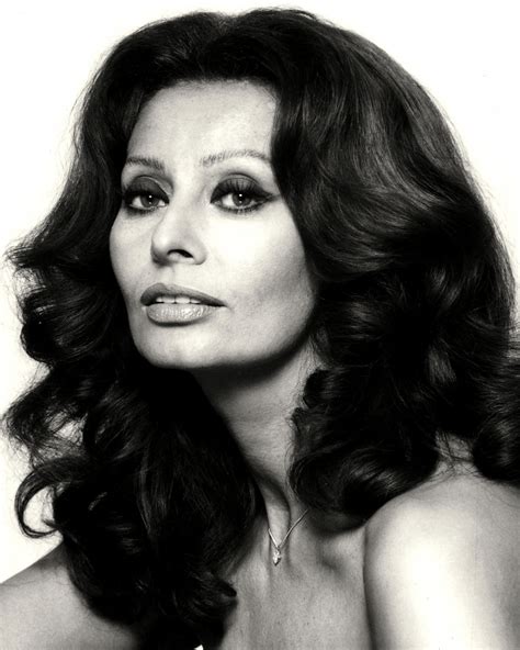 Sophia Loren Legendary Actress X Publicity Photo Az