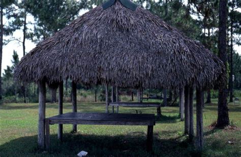 Seminole Indian Chickee Hut At The Big Cypress Indian Reservation