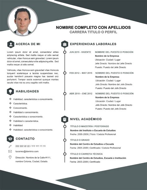 Cv Curriculum Vitae Profesional Plantilla Editable En Word 5000 En