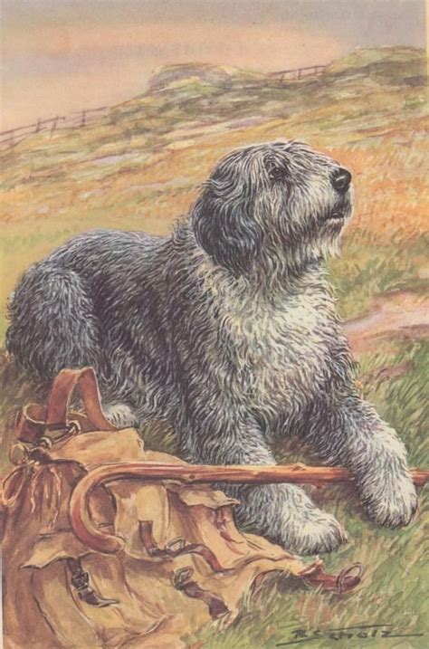 Vintage Old English Sheepdog Oes Herding Dogs Vintage Color Dog Art
