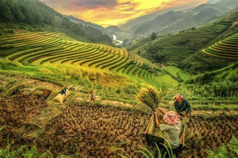 The Banaue Rice Terraces In The Philippines Traveler By Unique