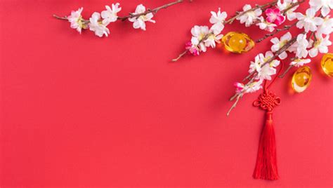 Chinese animal astrology, flying stars and much more. Popular Fragrant Flowers for Chinese New Year 2021 - Gift ...