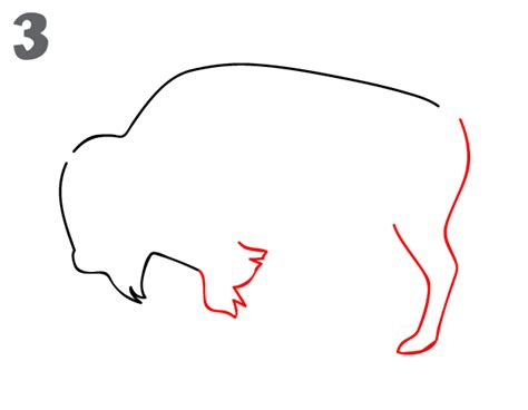 Ucidraw is a channel where you can find fun and simple drawing tutorials to follow in a on this channel you will find drawing tutorials for kids and also for beginners. How To Draw a Buffalo - Step-by-Step