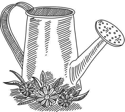 Best Watering Can White Background Illustrations Royalty Free Vector Graphics And Clip Art Istock