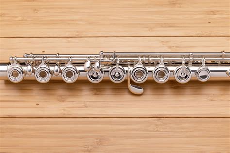Flute Buying Guide How To Choose A Flute