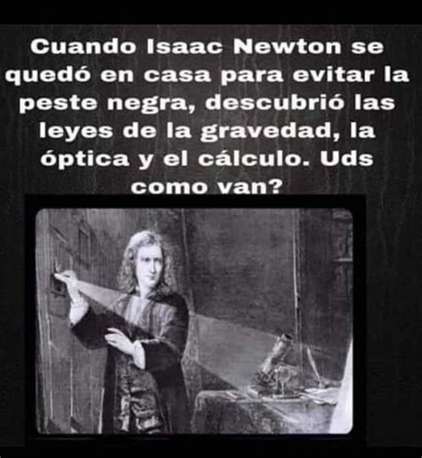 Arriba 90 Foto La Ley De La Gravedad De Isaac Newton Mirada Tensa