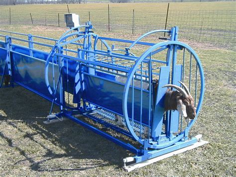 Sydell Spin Doctor Sheep And Goat Handling Equipment Three Willows