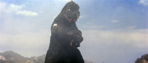 Fałszywy Godzilla Godzilla Wiki Fandom