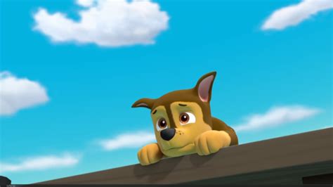 pups save a herd quotes paw patrol wiki fandom