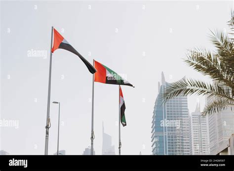 Uae National Symbol Flag Waving Outdoor With City And Sky Background