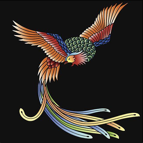 Kali and the phoenix queen. Best Phoenix Bird Rising Illustrations, Royalty-Free ...