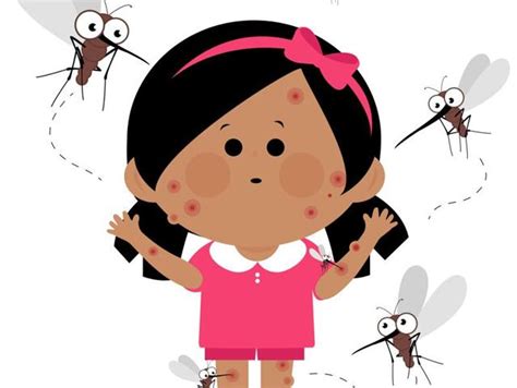 All You Need To Know About Dengue Spread Prevention And Treatment