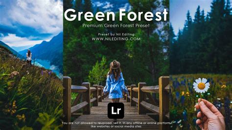 One click download free lightroom mobile presets for your phone. Lightroom Mobile Paid Presets Free DNG File | New Presets ...