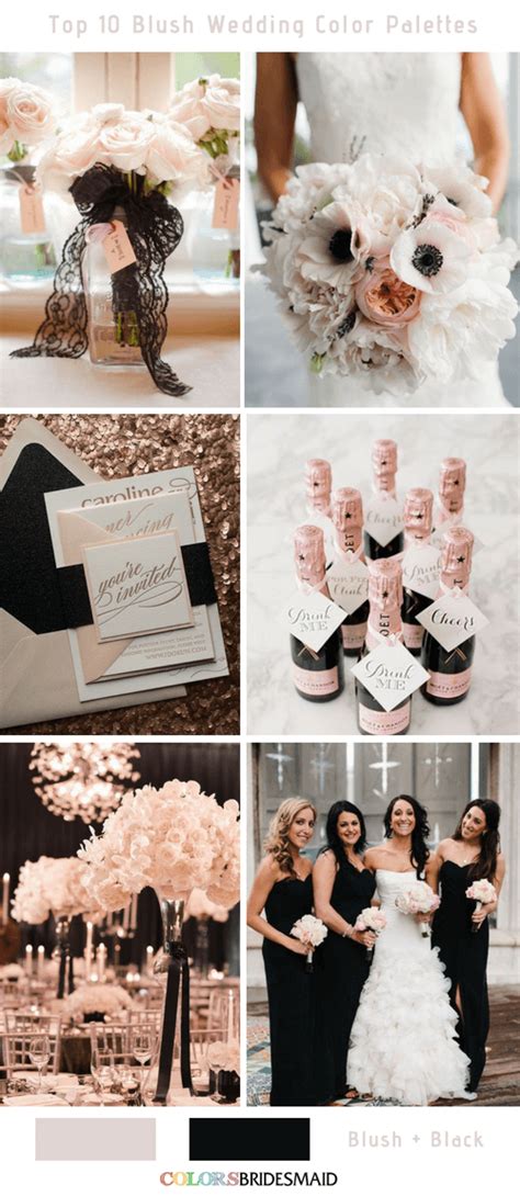 Top 10 Blush Wedding Color Palettes Blush And Black Blush Pink And