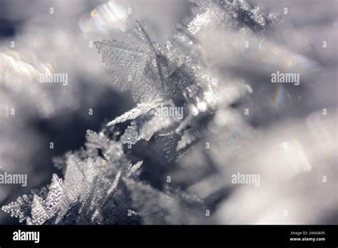 Real Frozen Ice Crystals In Blue Winter Background Closeup Of Ice