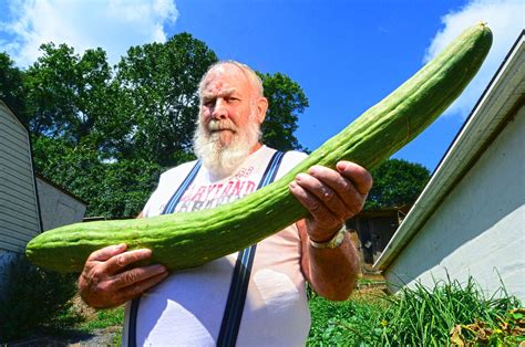 Knoxville Man Grows Colossal Cucumber Texas Titos
