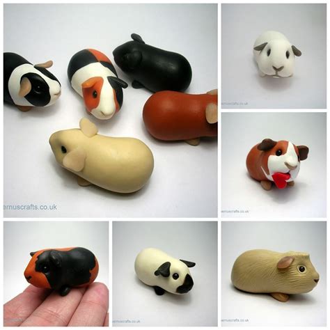 Clay Guinea Pigs By Quernus Crafts Guinea Pig Ts Pinterest
