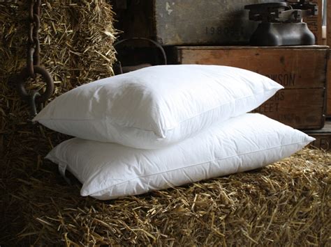 The top countries of suppliers are china, japan, and. Goose Feather Down Pillows | Get Laid Beds