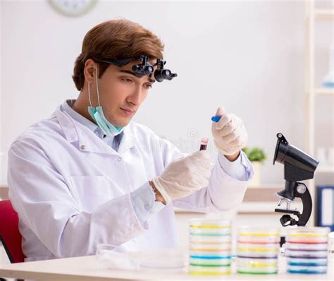 Young Chemist Working In The Lab Stock Image Image Of Medicine