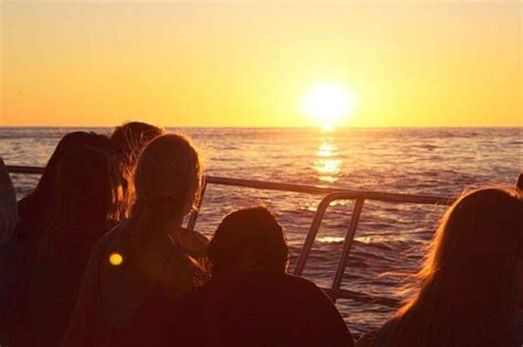Best Sunset Catamaran Cruise In Cape Town Compare Specials And Prices
