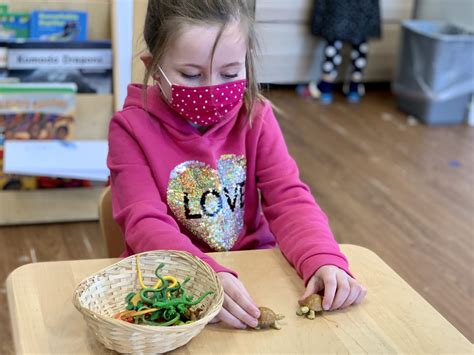 Reptiles | The McGuffey Montessori School
