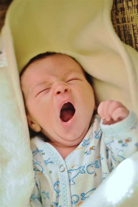 Newborn Baby Child Little Infant Yawn Pikist