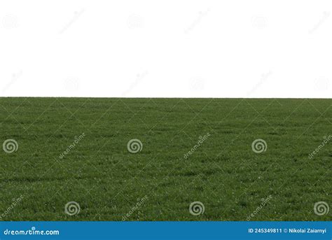Green Field With Blue Sky As Background Stock Image Image Of Plant