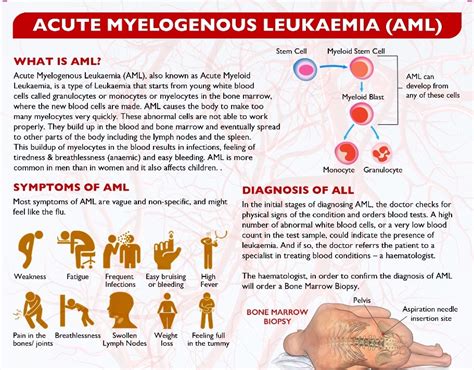You may notice frequent bruises on the child's skin. What is AML or Acute Myeloid Leukemia - canceRx