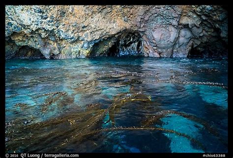 Picturephoto Clear Waters Kelp Annd Sea Caves Santa Cruz Island
