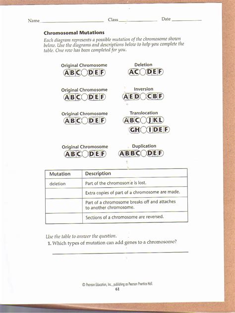 A mutation is a change that occurs in our dna sequence, either due to mistakes when the dna is copied or as the result of environmental factors such as uv light and cigarette smoke. Gene Mutations Worksheet - worksheet