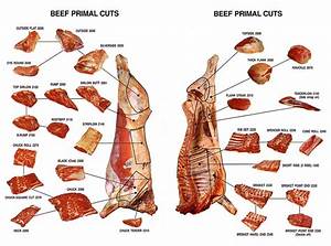 Beef Cuts Diagrams With Descriptions 101 Diagrams