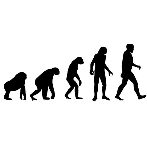 Scientists Identify Four Stages Of Evolution In The Human Body