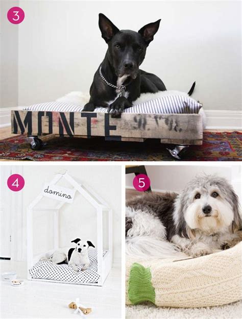 12 Fun And Easy Diy Pet Accessories Toys Leashes Collars And More